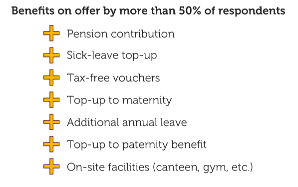 Benefits on offer by more than 50% of respondents